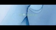 错别字成语大全
