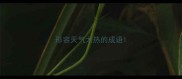 形容天气太热的成语