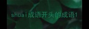 shuai成语开头的成语