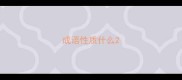 成语性质什么