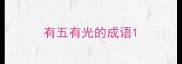 有五有光的成语