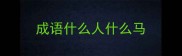 成语什么人什么马