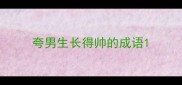 夸男生长得帅的成语