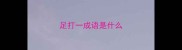 足打一成语是什么