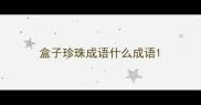 盒子珍珠成语什么成语