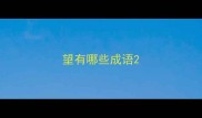望有哪些成语