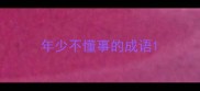 年少不懂事的成语