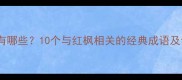 红枫成语有哪些10个与红枫相关的经典成语及诗意解读