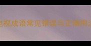 人退电视成语常见错误与正确用法指南