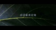 成语量身定做