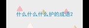 什么什么什么护的成语