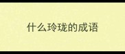 什么玲珑的成语