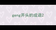 geng开头的成语