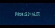刚组成的成语