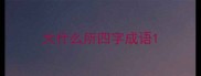 大什么所四字成语
