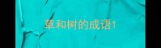草和树的成语