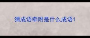 猜成语牵附是什么成语