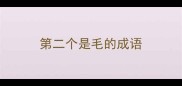 第二个是毛的成语