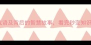 10个含哲字的成语及背后的智慧故事看完秒变知识储备小达人