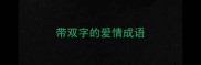 带双字的爱情成语