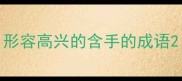 形容高兴的含手的成语