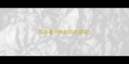 形容看书快的四字成语