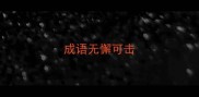 成语无懈可击