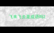 飞来飞去是成语吗