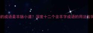 常见错误羊尾的成语是羊肠小道深度十二个含羊字成语的用法与背后的历史典故