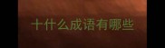 十什么成语有哪些