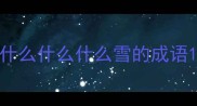 什么什么什么雪的成语