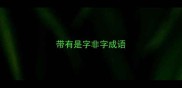 带有是字非字成语