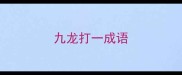 九龙打一成语