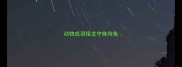 动物成语接龙守株待兔