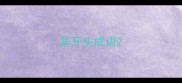 吴开头成语