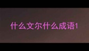 什么文尔什么成语