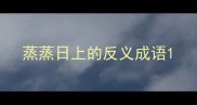 蒸蒸日上的反义成语