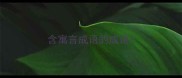 含寓言成语的成语