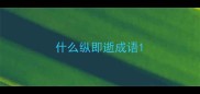 什么纵即逝成语