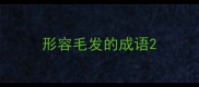 形容毛发的成语