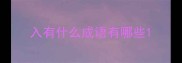 入有什么成语有哪些