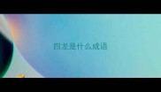 四龙是什么成语