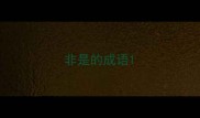 非是的成语