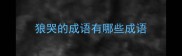 狼哭的成语有哪些成语