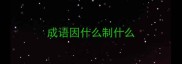 成语因什么制什么