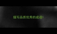 描写品质优秀的成语