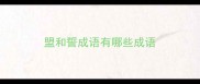 盟和誓成语有哪些成语
