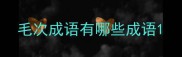 毛次成语有哪些成语