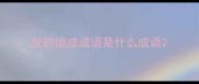反的组成成语是什么成语