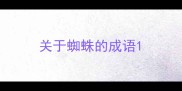 关于蜘蛛的成语
